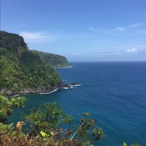 Meet your Posher, Nora